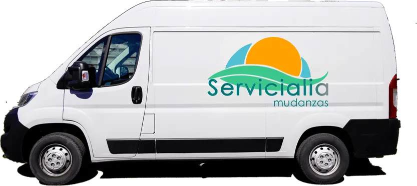 Contacto- Servicialia